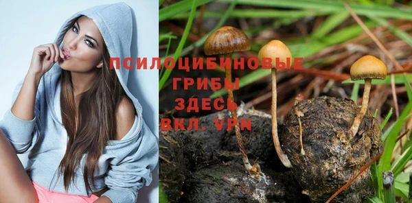 стафф Инта
