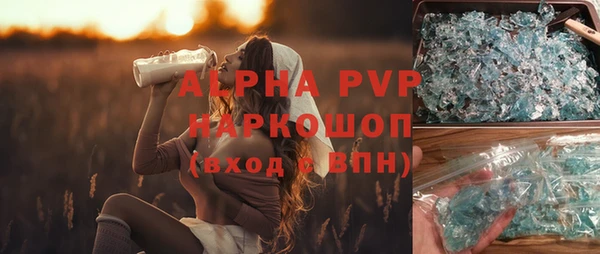 прущие грибы Иннополис